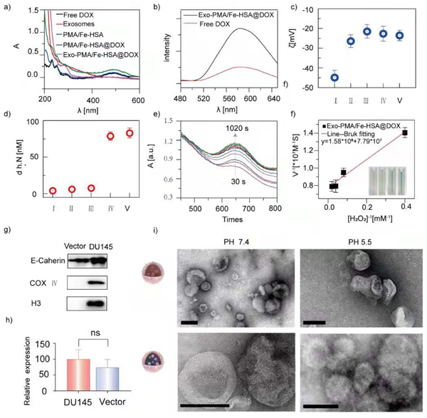 1624238559249096215.jpg 微信图片_202106210919251.jpg