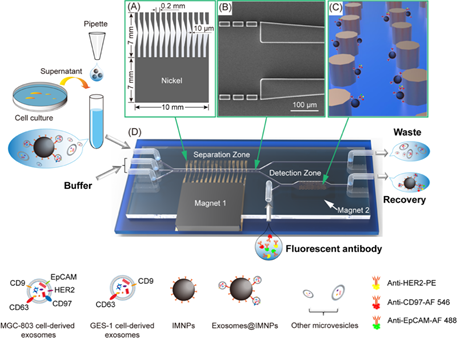 1630589750766047344.png image.png