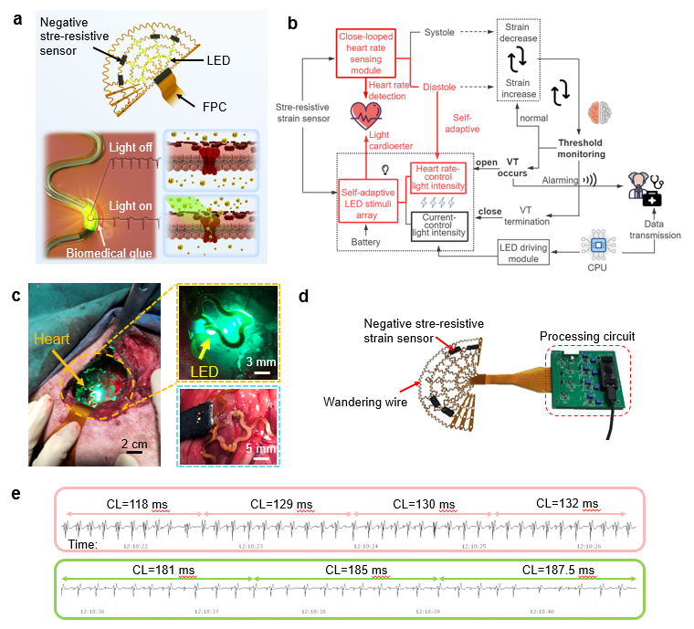 1638770382149051181.png 3.png