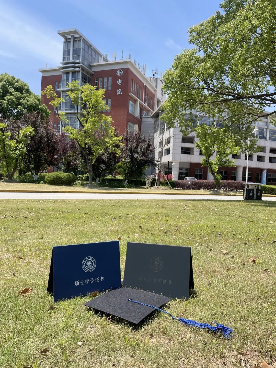 1653435476835085419.jpg 1.jpg